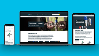 Reliance Valves website blue