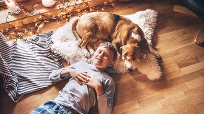 Boy lying on the floor and near beagle dog sleeping on sheepskin in cozy home atmosphere. Peaceful moments of cozy home, holiday time concept image