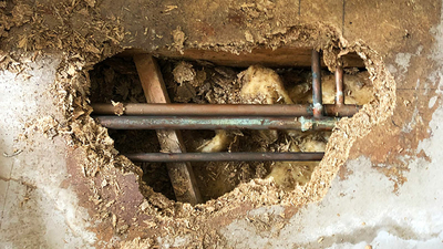 Stock photo showing under floor central heating copper pipes viewed through hole caused by water leak damage.